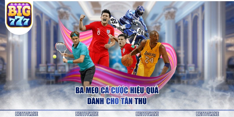 Ba mẹo cá cược hiệu quả dành cho tân thủ