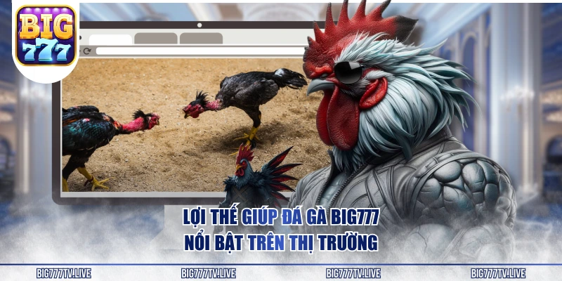 Lợi thế giúp đá gà BIG777 nổi bật trên thị trường